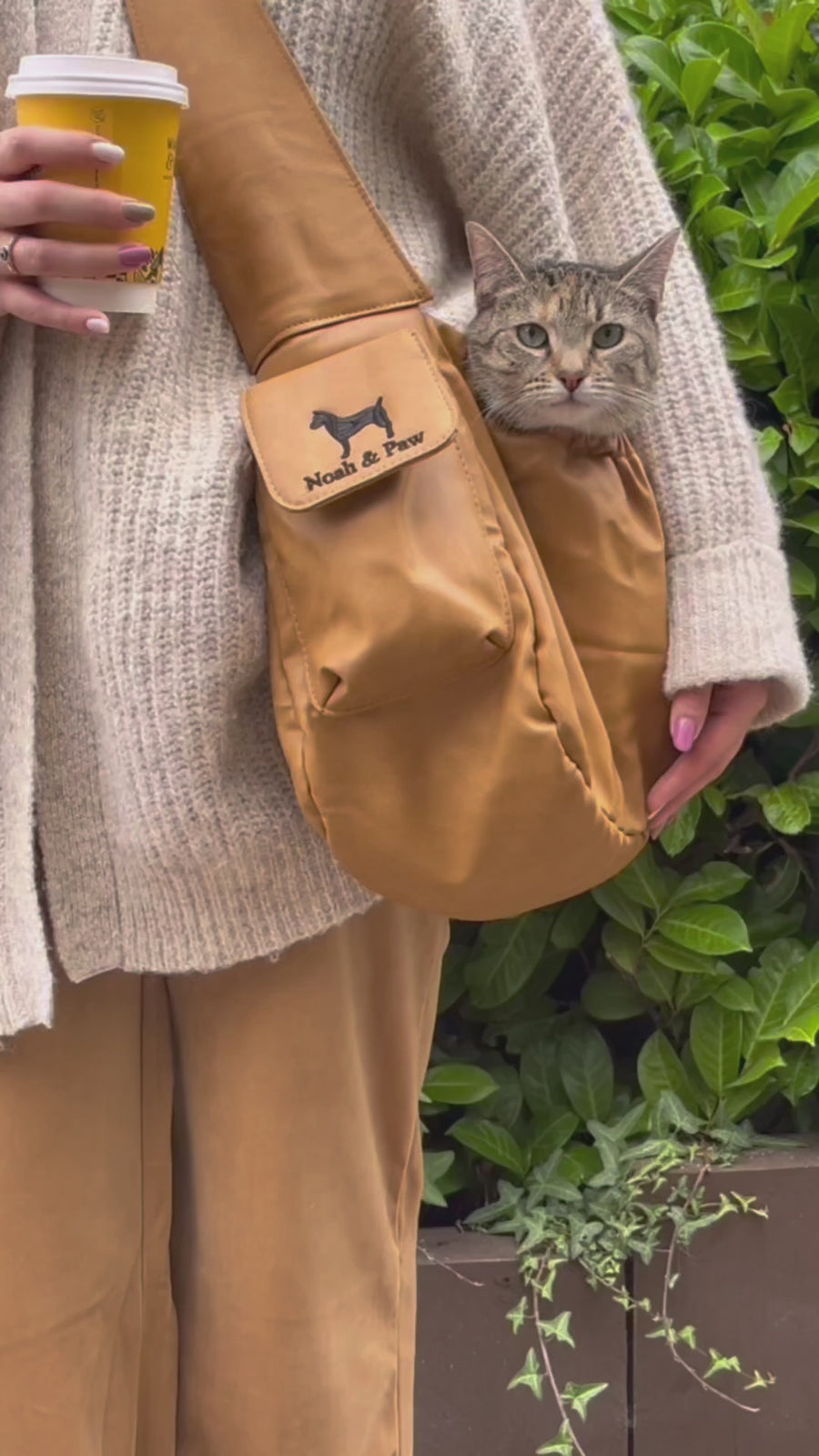 Noah & Paw camel ruffle dog sling, product video