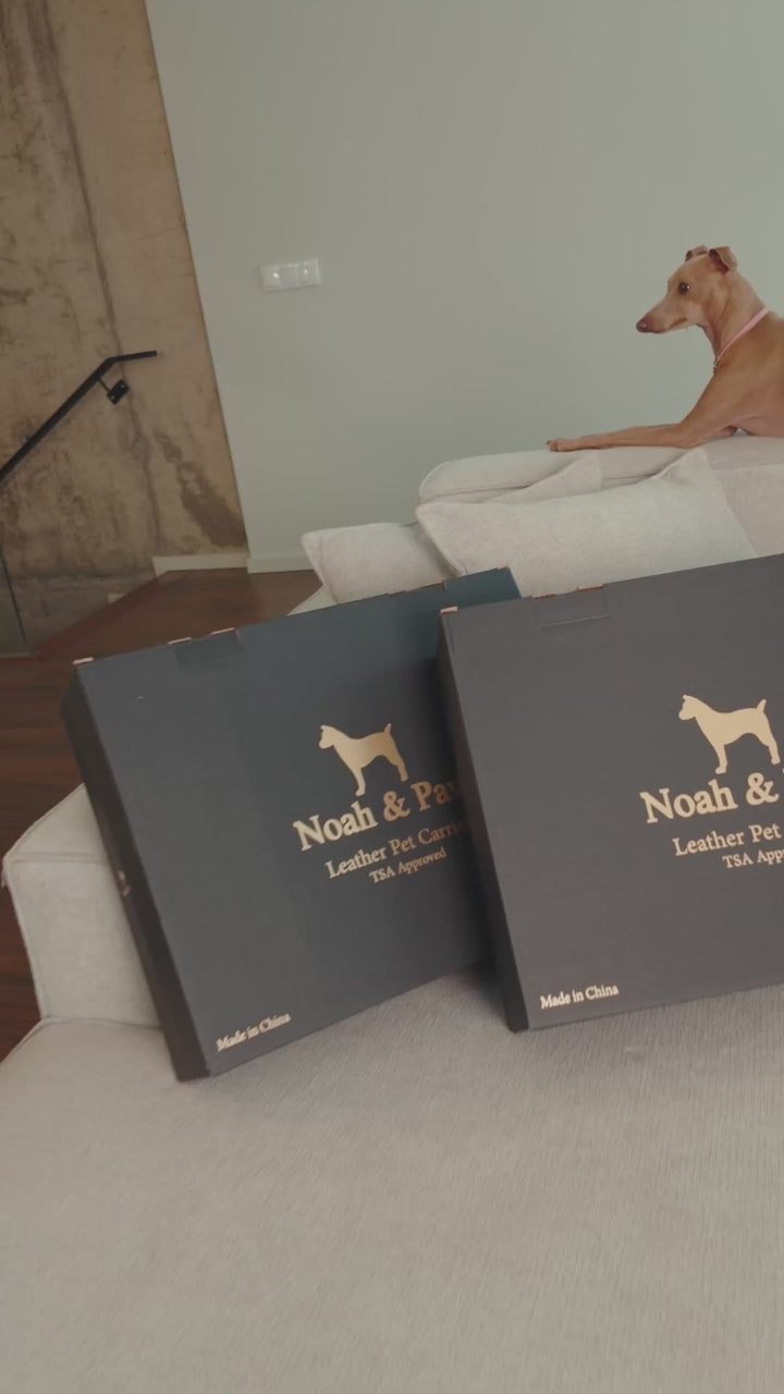 Video: features of the Noah & Paw TSA-approved airline pet carrier in camel faux leather, zippers, mat and carry straps