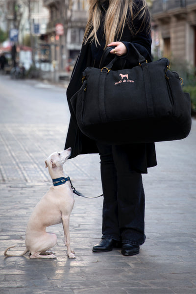 Dog Short