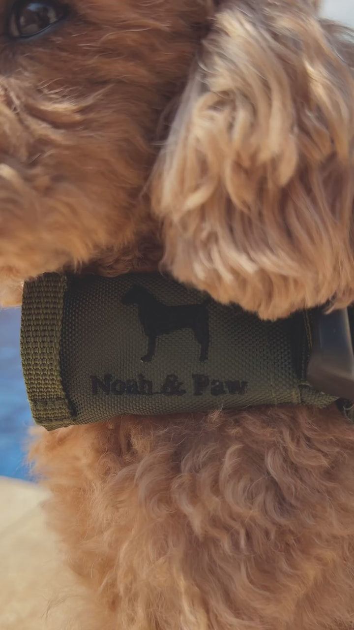 Video: fitting the Noah & Paw green dog life jacket on a poodle by the pool, adjustable straps and rescue handle