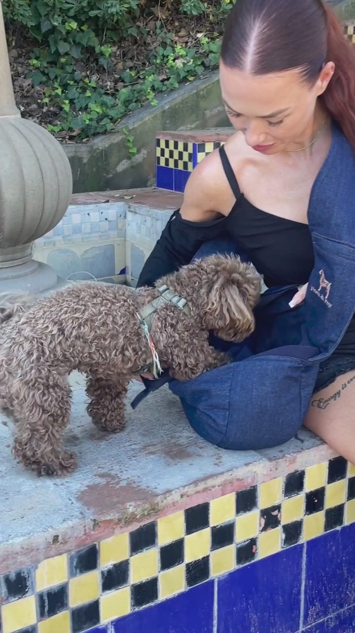 Video: small dog in the Noah & Paw premium denim 3x safety zipper dog sling carrier
