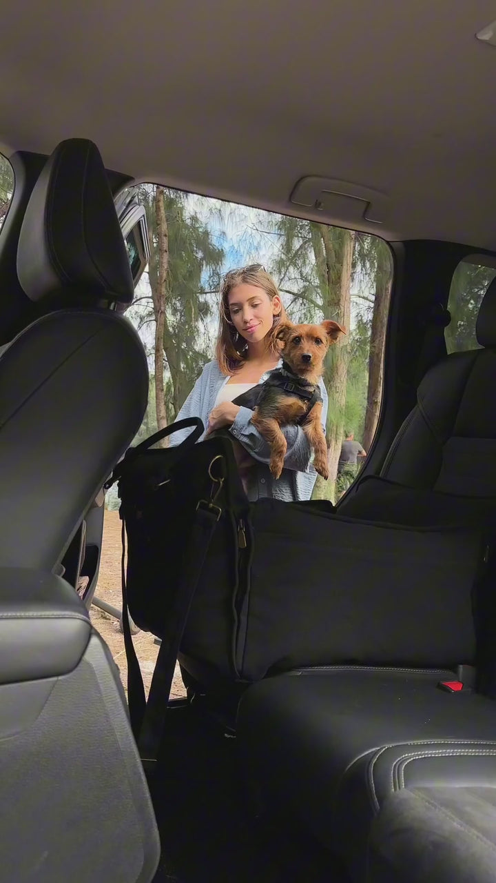 Video: happy dog in the Noah & Paw dog car seat carrier in black canvas with crushed orthopedic foam