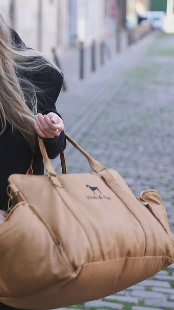 Video: dogs riding in Noah & Paw orthopedic dog car seat carriers in camel and black, carried and buckled into the back seat