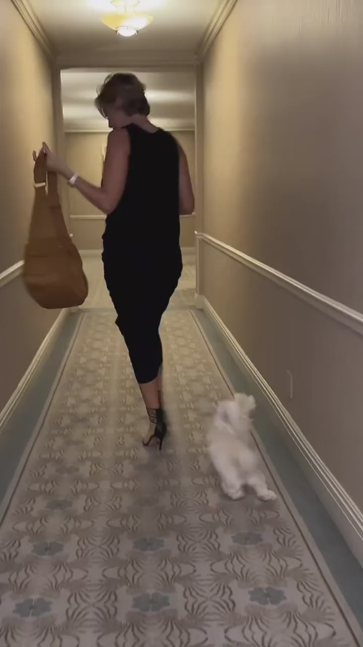 Video: small dog carried in the Noah & Paw ruffle style dog sling carrier in camel vegan leather