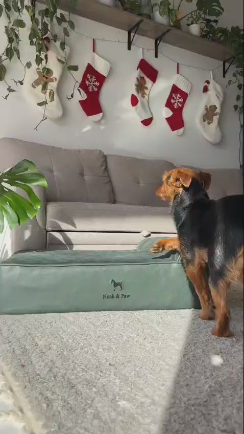 Noah & Paw faux leather orthopedic dog bed, product video