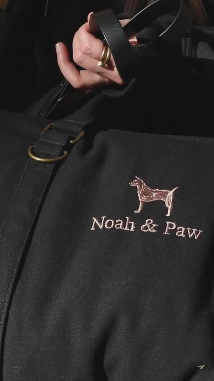 Video: small dog riding in the Noah & Paw black orthopedic dog car seat carrier on the back seat