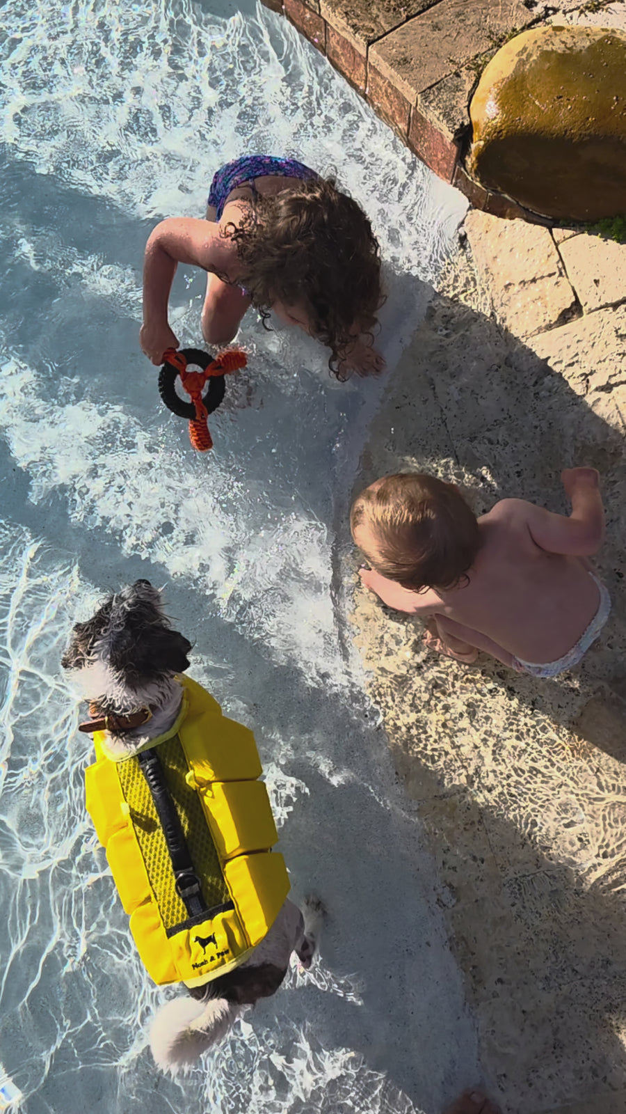 Noah & Paw dog life jacket, product video