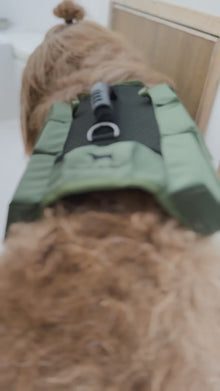 Noah & Paw dog life jacket with 4x foam for buoyancy, green, video