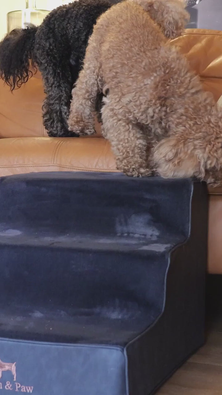 Video: poodles using Noah & Paw luxury dog stairs for bed in camel faux leather to reach the sofa