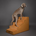 Dog Stairs